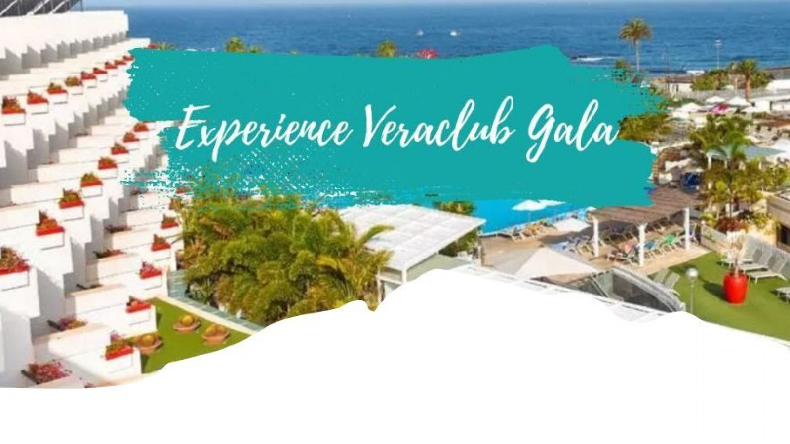 2025 veraclub gala IN3